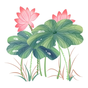 Self-adhesive lotus flower wall sticker with green leaves and water drops for home decor