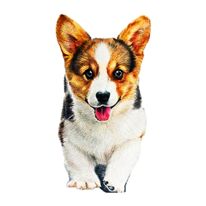 Cute Corgi puppy socket wall sticker, creative pet illustration for home decor