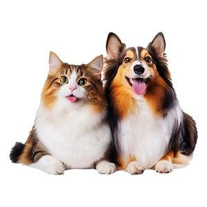 Luminous cute cat and dog wall stickers showing a fluffy cat and shepherd dog