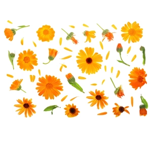 Kreative orange Ringelblumen Wandaufkleber mit Blütenblättern für die Schrankdekoration