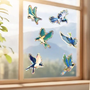 Rainbow bird window clings set showing 6 prismatic static stickers on a glass surface