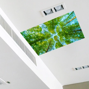 Detailed view of forest landscape ceiling sticker with tall green trees and blue sky