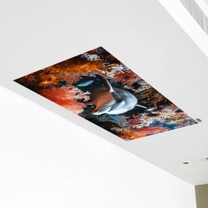 3D ocean dolphin wall sticker with coral reef and sea life for ceiling home decoration