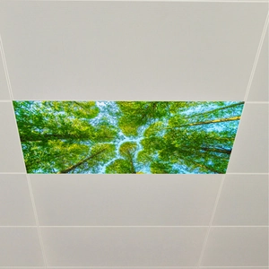 Lush forest canopy ceiling sticker showing green trees and blue sky for home decor