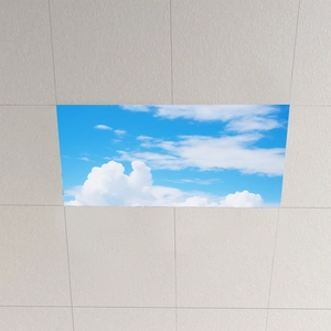 Blue sky and white clouds ceiling wall sticker for living room ceiling decoration