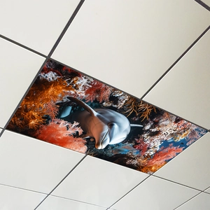 Detail view of ocean world light cover featuring a dolphin and coral reef on ceiling
