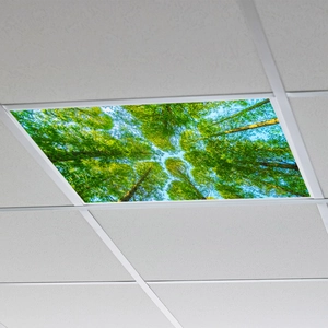 Forest High Trees View Ceiling Sticker PVC Self-Adhesive Wall Decal HD Printing For Office Living Room Home Wall Decor