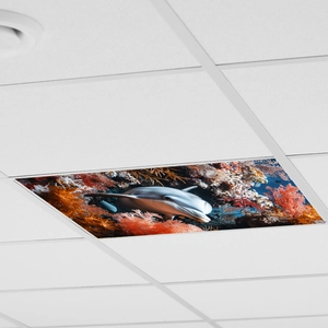 Ceiling light decorative film featuring dolphins and coral reefs in office ceiling grid
