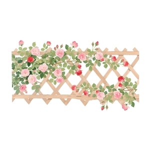 Garden wooden trellis with blooming pink and red climbing roses and dense green leaves