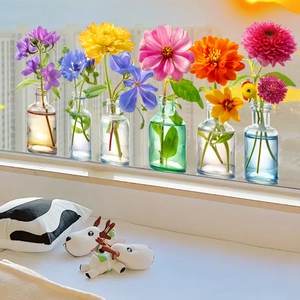Detail of six glass hydroculture vases with colorful flowers on a sunny windowsill