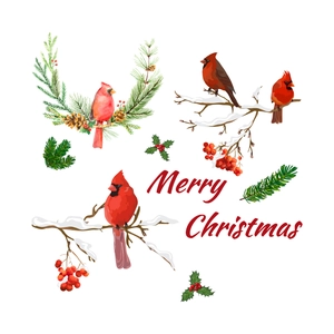 Christmas window stickers featuring watercolor red birds, pine branches, and Merry Christmas text