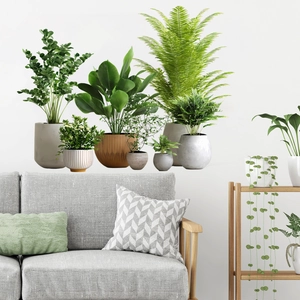 Removable wall stickers featuring various potted green plants for living room decor
