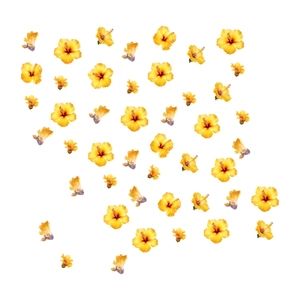 Adhesive sunflower wall stickers with vibrant yellow hibiscus flowers and dew drops