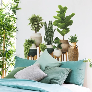 Self-adhesive green plant wall stickers featuring potted fiddle leaf fig and snake plants