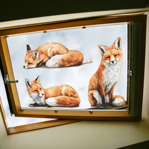 Stickers muraux renard roux mignon en trois poses pour décoration de salon et chambre