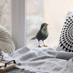 Realistic 3D blackbird wall sticker decoration for living room featuring vibrant orange beak