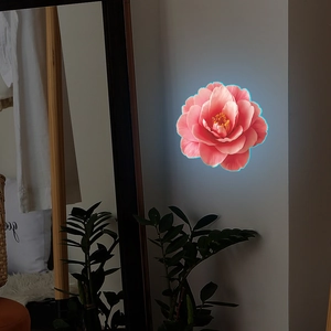 Luminous pink camellia wall sticker with blue backlight on white living room wall