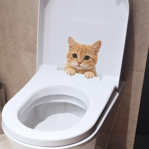 3D cute orange kitten wall sticker for home decoration on smooth surfaces like toilet lids