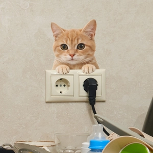 3D realistic orange tabby cat wall sticker peering over a white light switch socket