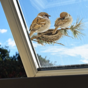 Self-adhesive sparrow and pine branch wall stickers for home decoration on glass windows
