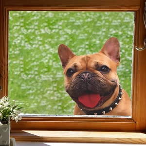 3D French Bulldog wall sticker with spiked collar for home decor on window glass