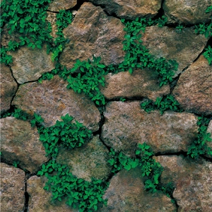 Self-adhesive stone wall wallpaper with lush green plants for bedroom or living room