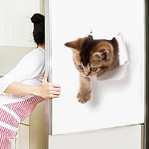 Creative 3D wall sticker featuring a realistic ginger cat breaking through a white surface