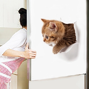3D realistic tabby kitten wall sticker showing vivid cat peeking through broken surface
