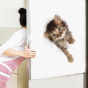 3D realistic brown fluffy kitten wall decal showing a cute cat peering through a broken wall