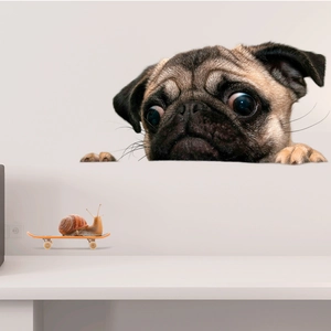 3D pug dog and snail on skateboard creative toilet wall sticker for home decor