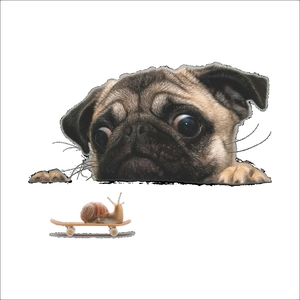 Creative 3D pug and snail on skateboard wall sticker for home and toilet decor