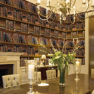 Vintage 3D bookshelf wallpaper for library decor in living room with realistic book spines