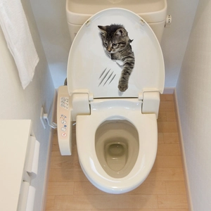 3D kitten wall sticker showing a cute grey tabby cat peeking through toilet seat cover