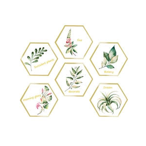 Macro detail of hexagonal PVC wall stickers with Nordic botanical watercolor art and gold borders