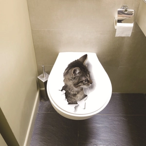 Creative 3D wall sticker featuring a realistic cat emerging from a cracked toilet lid