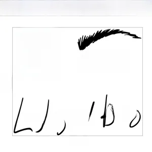Detail showing Lashes and Brows vinyl wall sticker dimensions 55cm x 66cm for salon decor