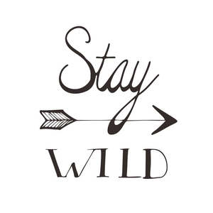 Detail of Stay Wild wall sticker with hand-drawn arrow design and creative lettering