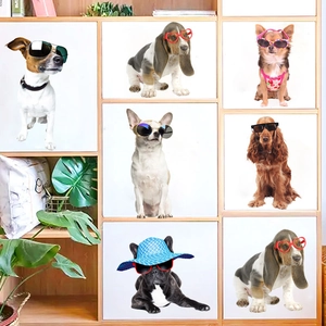 Multiple styles of pet sunglasses for small to medium dogs on a wooden shelf display