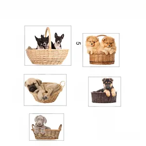 Detailed view showing puppy paw prints and cute dog sticker measurements for home decor