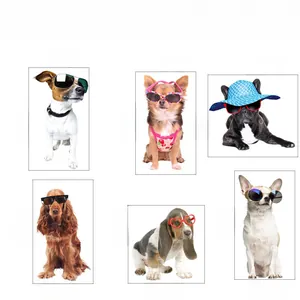 Detail showing dimensions of various cartoon dog stickers with sunglasses and hats