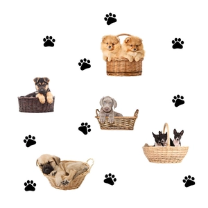 Detail set of cute puppies in woven baskets with black dog paw print wall stickers