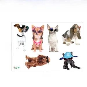 Cartoon dogs with sunglasses PVC wall stickers set, 60cm x 40cm size layout for kids room