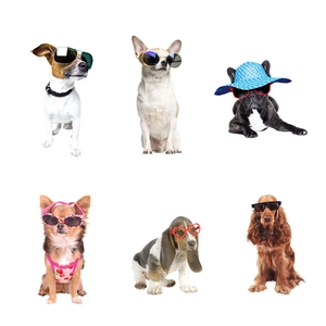 Detailed collection of cartoon dogs wearing sunglasses and stylish pet hats on stickers