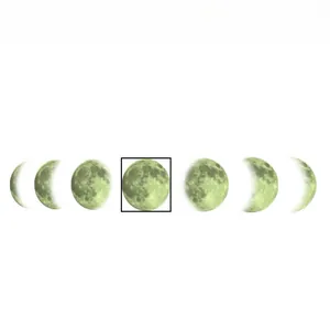 Luminous moon phase wall stickers set showing seven stages with 13cm diameter full moon