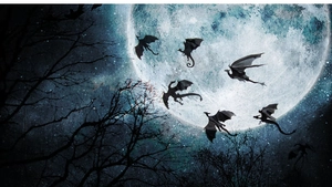 Detail showing set of 6 3D dragon silhouette wall decals in various flying poses