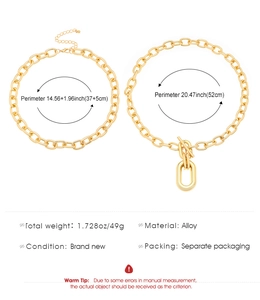 Detailed view of dual-layer alloy chain necklaces with adjustable lobster clasp links