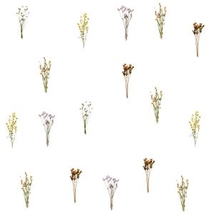 Detail view of various dried flower bouquet styles in multiple colors for DIY decor