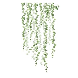 Detailed watercolor green leaf wall decal with hanging string of pearls plant design