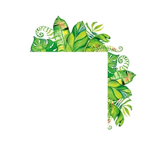 Stickers muraux en L avec feuilles tropicales à l'aquarelle pour interrupteur