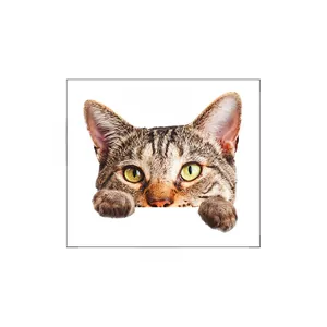 Detailed view of a 3D tabby cat wall sticker with dimensions 16.7cm by 14.5cm